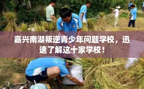 嘉兴南湖叛逆青少年问题学校，迅速了解这十家学校！