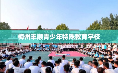 梅州丰顺青少年特殊教育学校