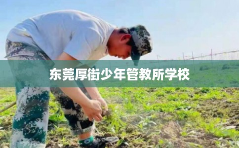 东莞厚街少年管教所学校