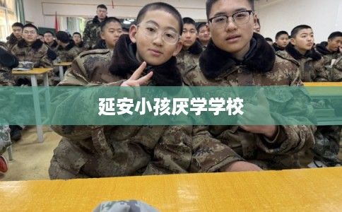 延安小孩厌学学校