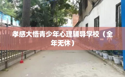 孝感大悟青少年心理辅导学校（全年无休）