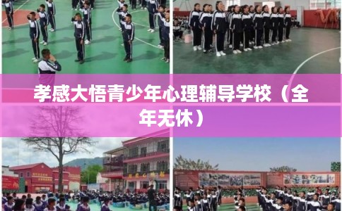 孝感大悟青少年心理辅导学校（全年无休）