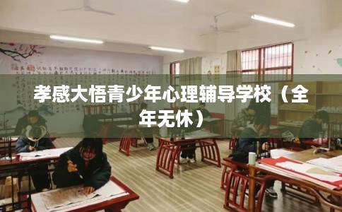 孝感大悟青少年心理辅导学校（全年无休）