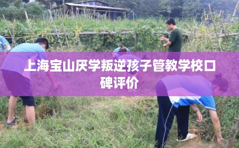 上海宝山厌学叛逆孩子管教学校口碑评价