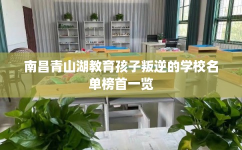 南昌青山湖教育孩子叛逆的学校名单榜首一览