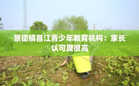 景德镇昌江青少年教育机构：家长认可度很高