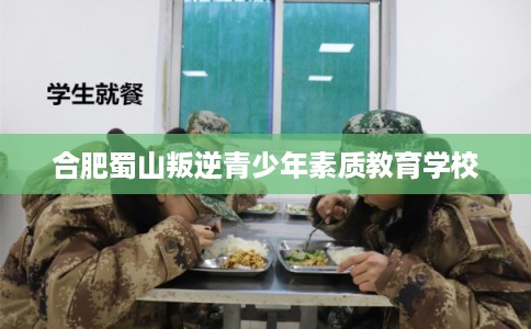 合肥蜀山叛逆青少年素质教育学校