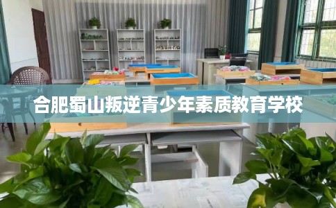 合肥蜀山叛逆青少年素质教育学校