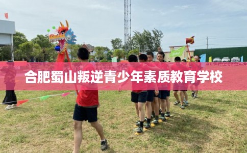 合肥蜀山叛逆青少年素质教育学校