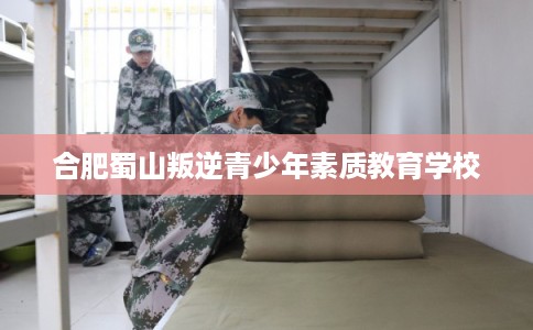 合肥蜀山叛逆青少年素质教育学校