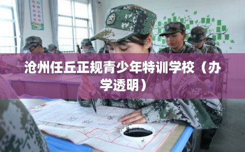 沧州任丘正规青少年特训学校（办学透明）