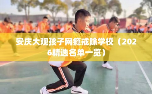 安庆大观孩子网瘾戒除学校（2026精选名单一览）