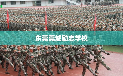 东莞莞城励志学校 东莞莞城励志学校