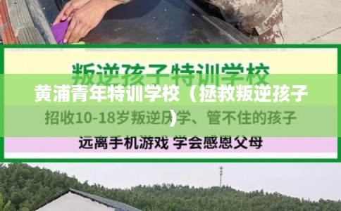 黄浦青年特训学校（拯救叛逆孩子）