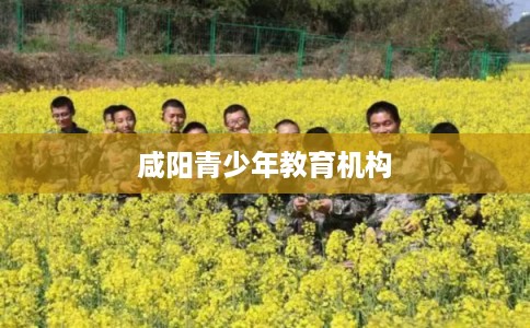 咸阳青少年教育机构