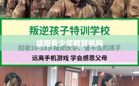 咸阳青少年教育机构