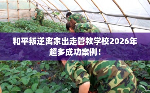 和平叛逆离家出走管教学校2026年超多成功案例！