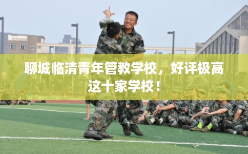 聊城临清青年管教学校，好评极高这十家学校！