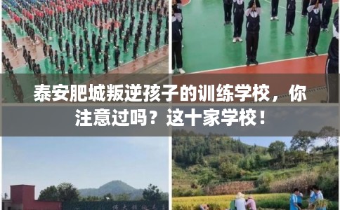 泰安肥城叛逆孩子的训练学校,你注意过吗?这十家学校! 泰安肥城叛逆孩子的训练学校,你注意过吗?这十家学校!
