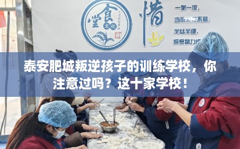 泰安肥城叛逆孩子的训练学校,你注意过吗?这十家学校! 泰安肥城叛逆孩子的训练学校,你注意过吗?这十家学校!