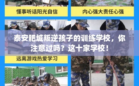 泰安肥城叛逆孩子的训练学校,你注意过吗?这十家学校! 泰安肥城叛逆孩子的训练学校,你注意过吗?这十家学校!
