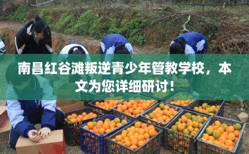 南昌红谷滩叛逆青少年管教学校，本文为您详细研讨！