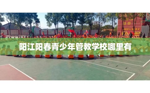 阳江阳春青少年管教学校哪里有 阳江阳春青少年管教学校哪里有