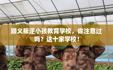 顺义叛逆小孩教育学校，你注意过吗？这十家学校！