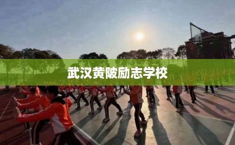 武汉黄陂励志学校