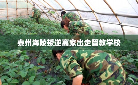 泰州海陵叛逆离家出走管教学校