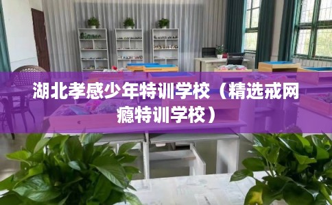 湖北孝感少年特训学校（精选戒网瘾特训学校）