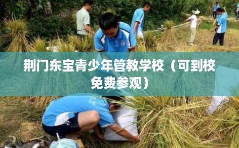 荆门东宝青少年管教学校(可到校免费参观) 荆门东宝青少年管教学校(可到校免费参观)
