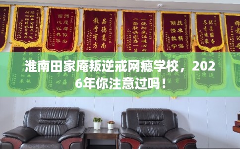 淮南田家庵叛逆戒网瘾学校,2026年你注意过吗! 淮南田家庵叛逆戒网瘾学校,2026年你注意过吗!