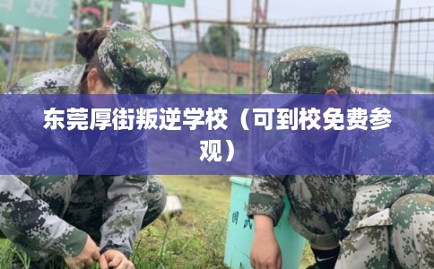 东莞厚街叛逆学校（可到校免费参观）