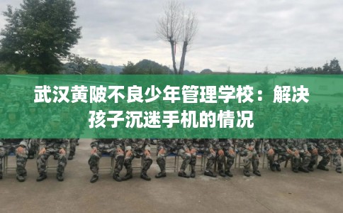 武汉黄陂不良少年管理学校:解决孩子沉迷手机的情况 武汉黄陂不良少年管理学校:解决孩子沉迷手机的情况