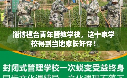 淄博桓台青年管教学校，这十家学校得到当地家长好评！