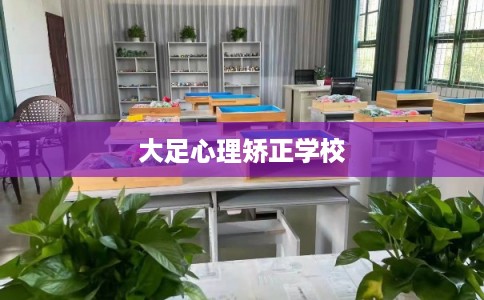 大足心理矫正学校 大足心理矫正学校