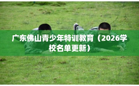 广东佛山青少年特训教育（2026学校名单更新）