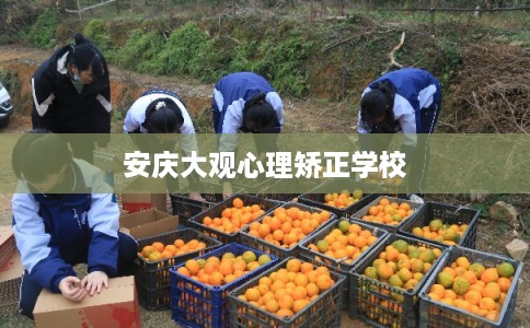 安庆大观心理矫正学校