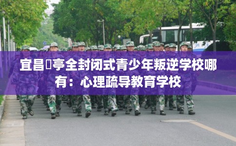 宜昌猇亭全封闭式青少年叛逆学校哪有：心理疏导教育学校