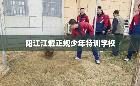 阳江江城正规少年特训学校 阳江江城正规少年特训学校