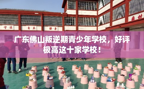 广东佛山叛逆期青少年学校，好评极高这十家学校！
