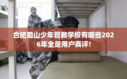 合肥蜀山少年管教学校有哪些2026年全是用户真评!