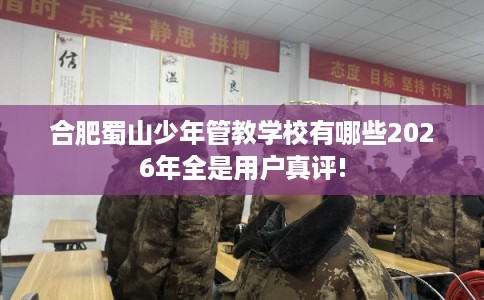 合肥蜀山少年管教学校有哪些2026年全是用户真评!