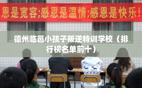 德州临邑小孩子叛逆特训学校(排行榜名单前十) 德州临邑小孩子叛逆特训学校(排行榜名单前十)