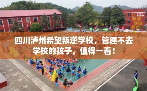 四川泸州希望叛逆学校，管理不去学校的孩子，值得一看！