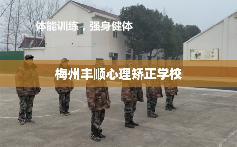 梅州丰顺心理矫正学校 梅州丰顺心理矫正学校