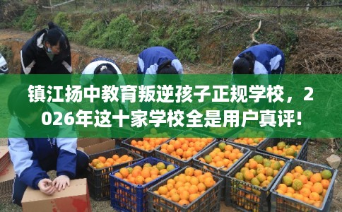 镇江扬中教育叛逆孩子正规学校，2026年这十家学校全是用户真评!