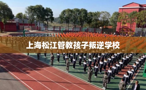 上海松江管教孩子叛逆学校