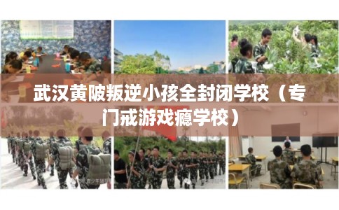 武汉黄陂叛逆小孩全封闭学校（专门戒游戏瘾学校）